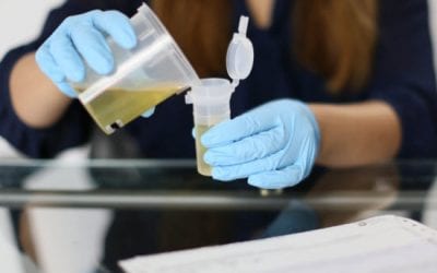 Seven Facts About Urine Drug Testing From Our Partner Quest Diagnostics