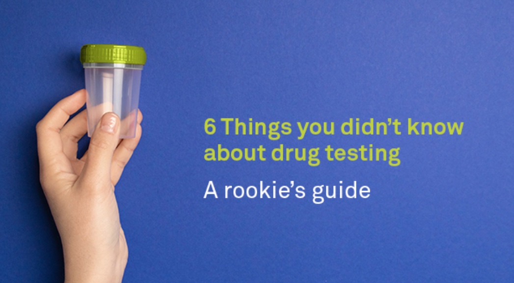 Handle holding drug test with overlayed text that says "6 thing you didn't know about drug test. A rookie's guide"