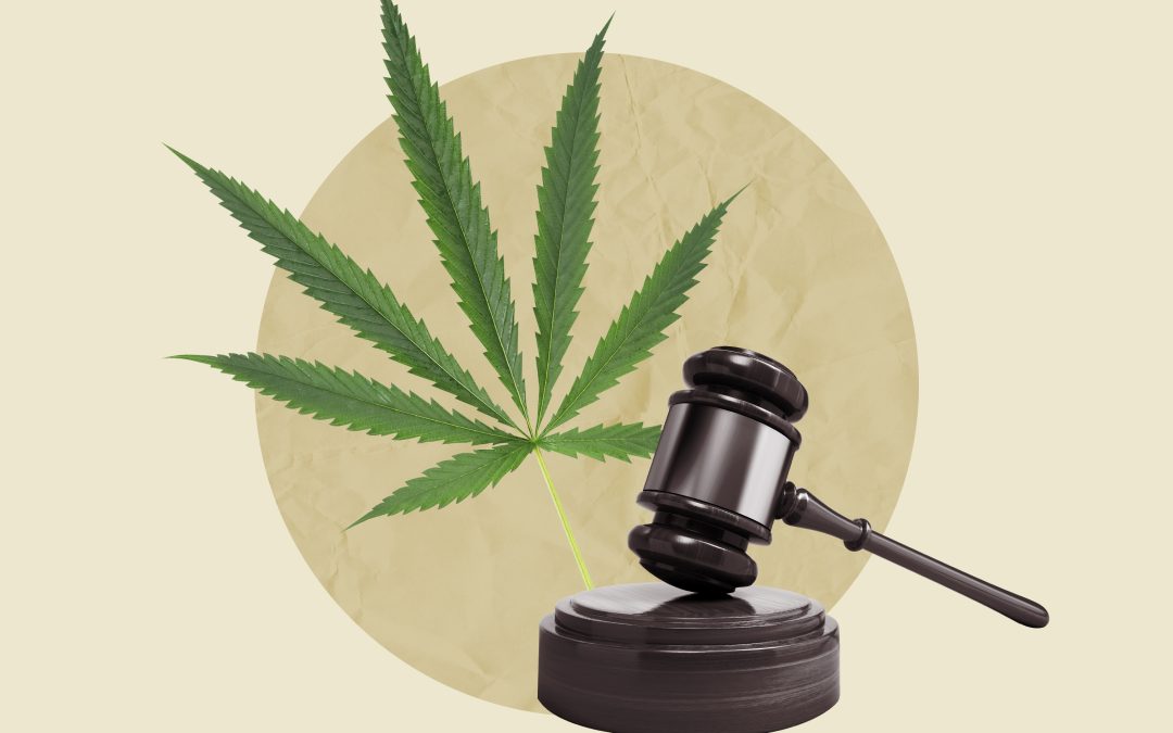 Cannabis Law 2024